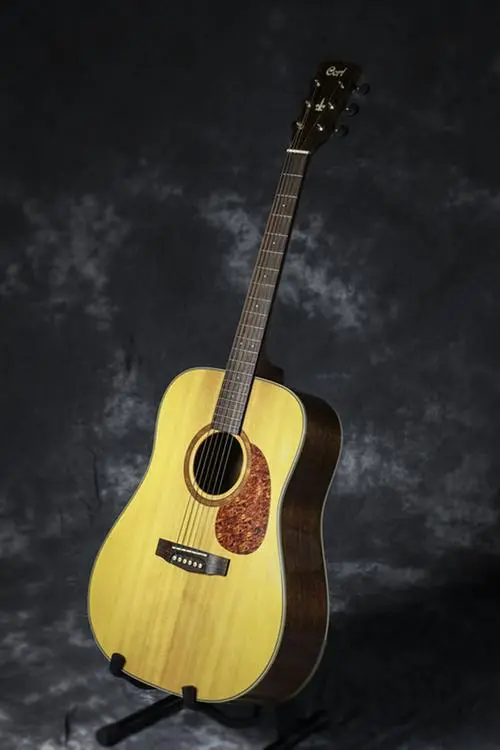 Martin DM Mahogany Dreadnought Acoustic Guitar: A Budget-Friendly Option for Beginner Musicians