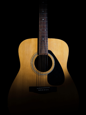 MARTIN GUITAR D35